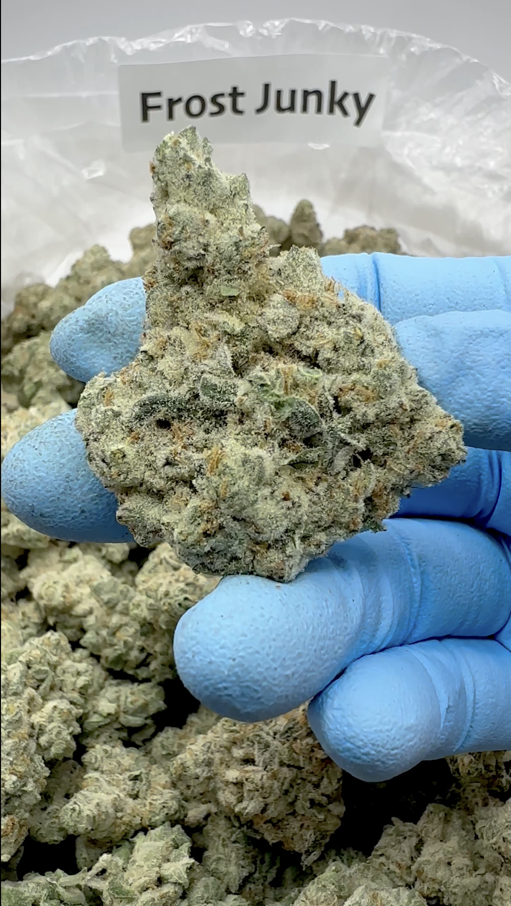 Frost_Junky.png